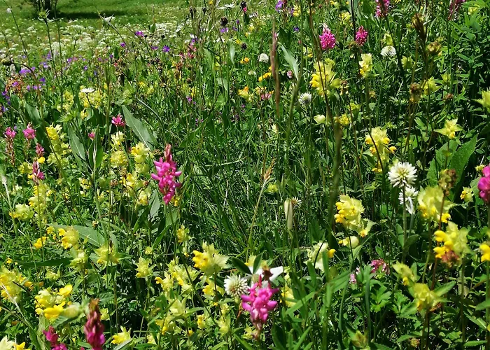 Apartamento Weid Leukerbad